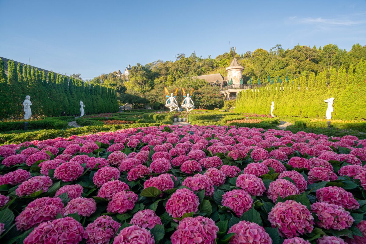 Vườn hoa Le Jardin D'Amour, vườn hoa Bà Nà Hills.